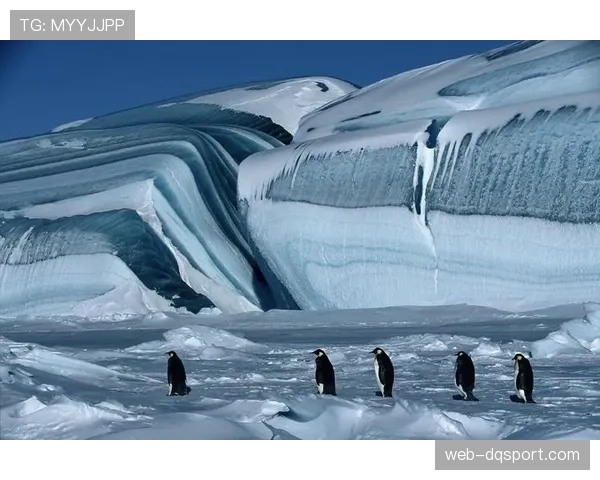 纪录片《克莱蒙的100年》将于本月在法国电视台播出
